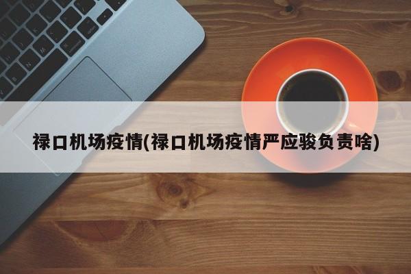 禄口机场疫情(禄口机场疫情严应骏负责啥)