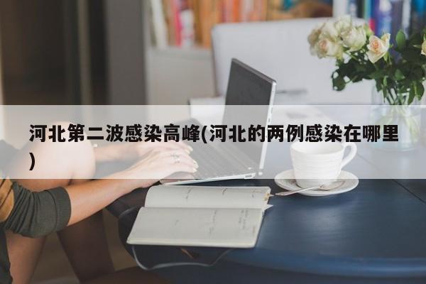 河北第二波感染高峰(河北的两例感染在哪里)